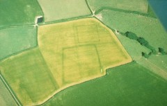 The cropmarks of two prehistoric enclosures and a prehistoric ring ditch near Kingsbridge show the survival of below ground archaeological features.