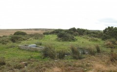 This poorly sited water trough on a prehistoric barrow (burial mound) in north-west Devon has led to poaching, causing damage to the mound and surrounding buried ditch. It has since been relocated under archaeological supervision, as part of a Higher Level Stewardship Scheme.