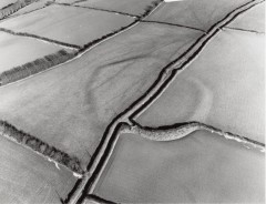 Stoke Rivers Iron Age hillfort from the air, showing different stages of destruction of the ramparts. The ramparts survive as a field boundary in the foreground, as a raised bank in the field to the right of the picture and to the left as much reduced earthworks.