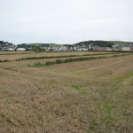 A colour ground photograph of an open area of cultivated land separated by narrow, low, grassed baulks.