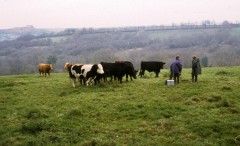 Talking to farmers