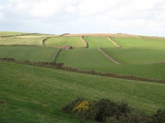 Curving fields