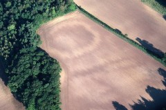 Although levelled by ploughing, this late prehistoric or Romano-British farmstead enclosure west of Exeter is clearly visible as a soil mark. The distinctive ‘zig-zag’ pattern indicates active erosion of the defensive bank by cultivation.