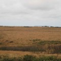 Bursdon Barrows with Lundy Island