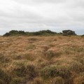 Bursdon Moor Barrow