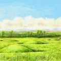 Burston Moor Artist's Impression