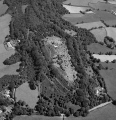 An aerial photograph of the hillfort in 1984, showing a small part of the ramparts – the rest are obscured by tree cover. © Frances Griffith, Devon County Council. 