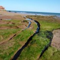 Rock cut cart tracks at Exmouth.