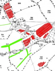 A historic map of the area around the farm, with orchard banks depicted as red parallel linear lines in the fields to the north, east and south.