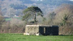 A ground colour photograph of a concrete Second World War pillbox in grassland.