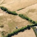 A colour aerial photograph showing dark cropmarks of a multiple-ditched enclosure.