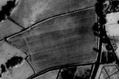 A black and white aerial photograph of a cultivated field, within which is a pale oblong cropmark.