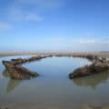 The timbers of a wreck on a beach, partially submerged in water