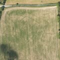 Colour aerial photograph of rectilinear dark green cropmarks in a mottled pale green field.