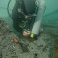 A diver exploring a sea bed