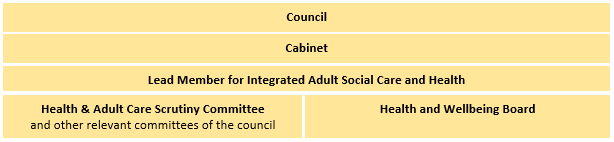 Chart showing political organisational structure of Devon County Council as it relates to Adult Social Care