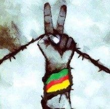kurdish-community-logo.png 