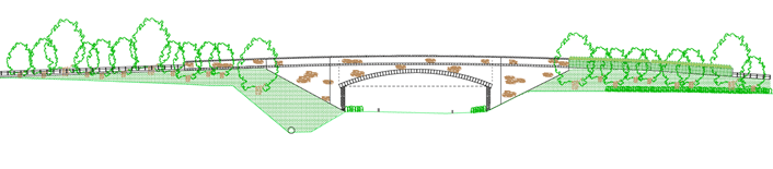 Initial illustrative sketch of the proposed bridge at West Buckland