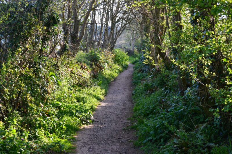 Photo of a public right of way