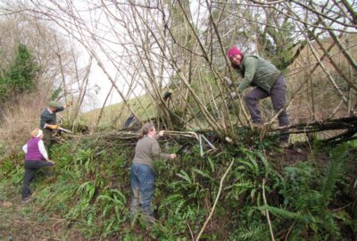 People coppicing