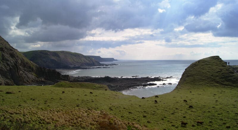 Photo of Hartland coastline