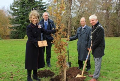 Tree planting at County Hall