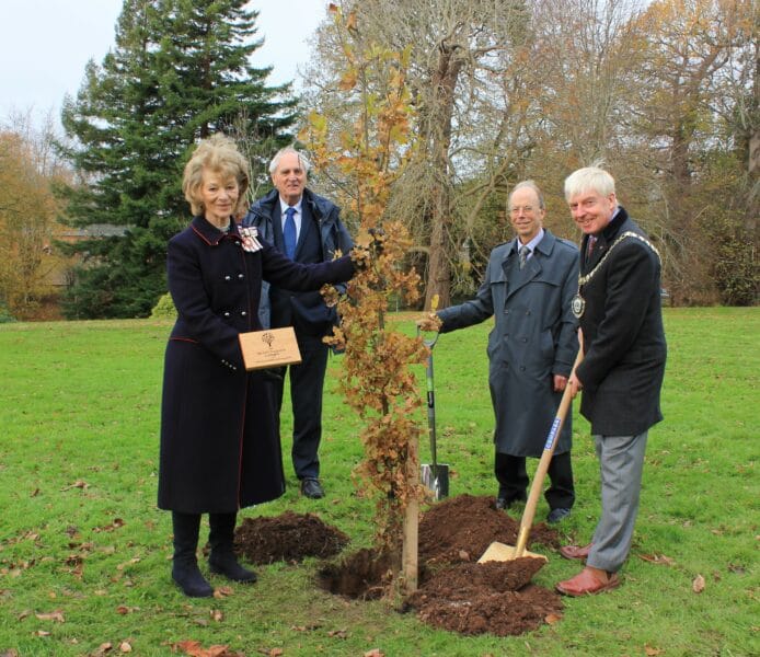 Tree planting at County Hall