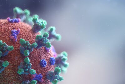 coronavirus, under the microscope