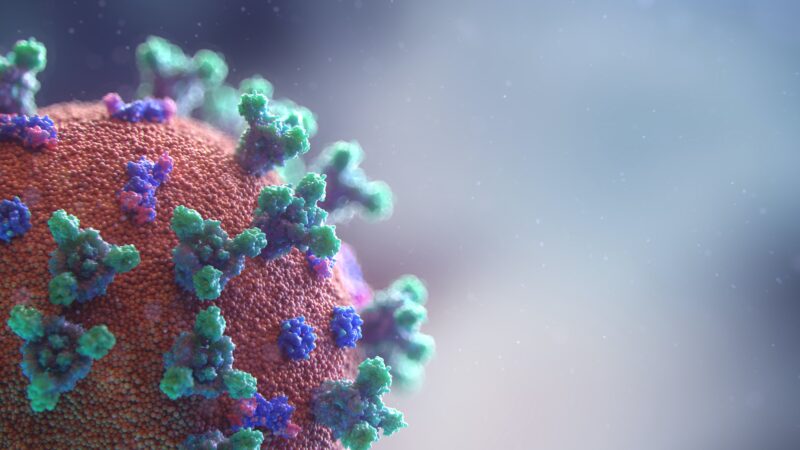 coronavirus, under the microscope