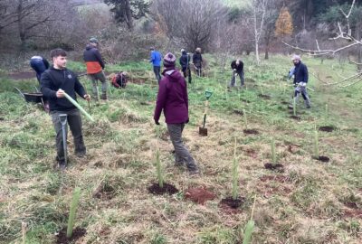 Tree planting at Follaton Arboretum