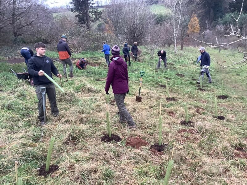 Tree planting at Follaton Arboretum