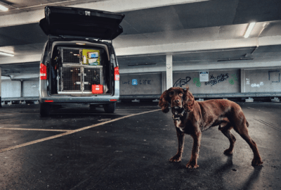 Sniffer dog in carpark