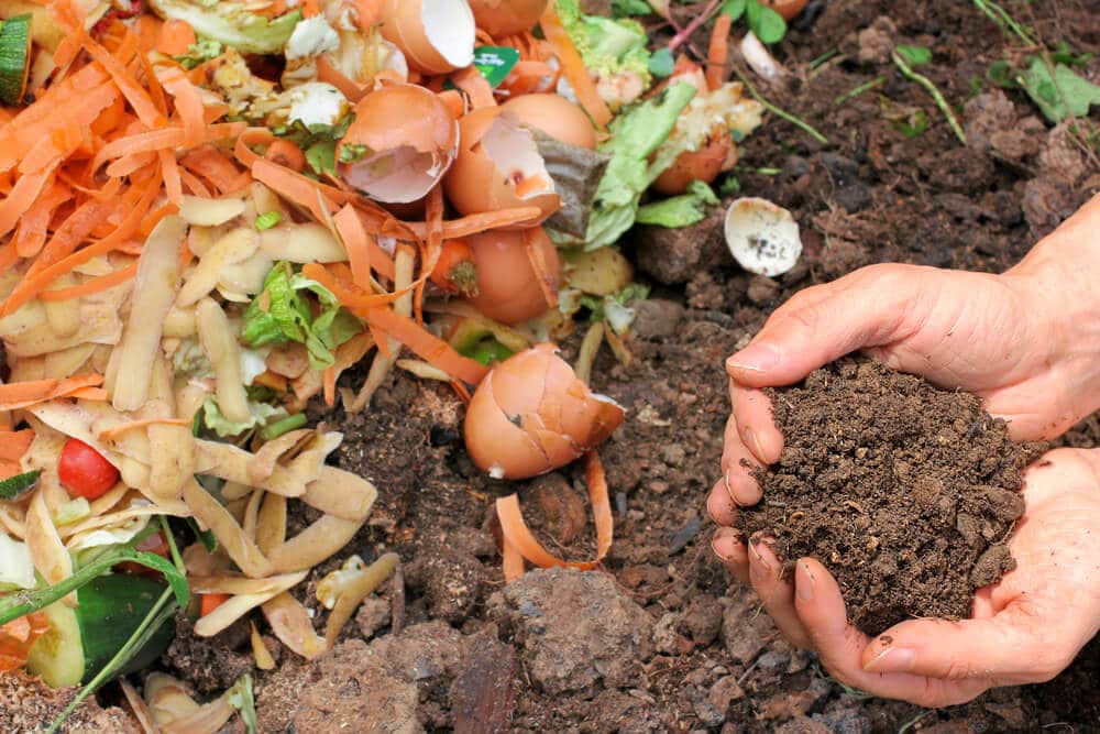 Go green for less this Spring with reduced price compost bins News