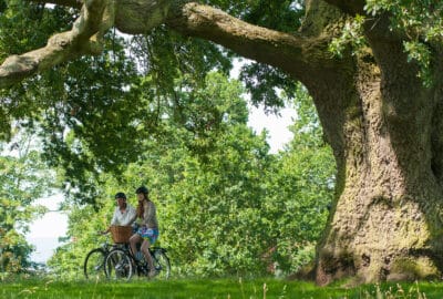 Cyclists in countryside