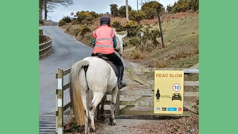 Horserider and horse approaching road safety poster