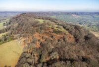 Hembury Hillfort