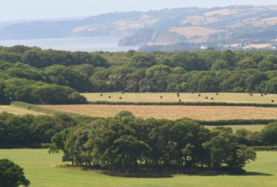 Fields in Devon