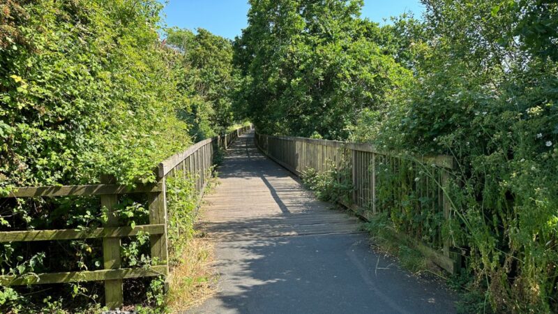 Courtlands Boardwalk