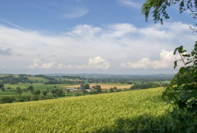 A view across green fields in Devon.