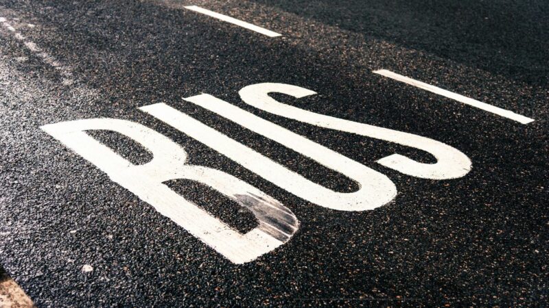 The word 'bus' on a road, indicating a bus lane.