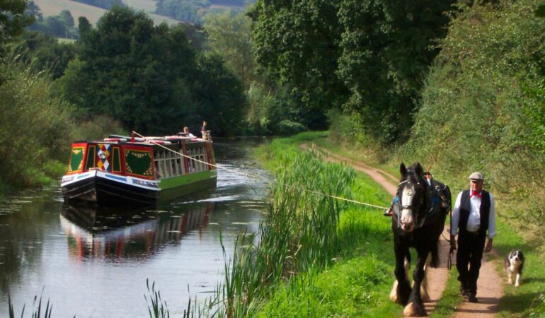 Horse drawn barge at the Grand Western Canal