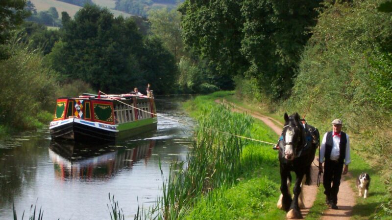 Horse drawn barge at the Grand Western Canal