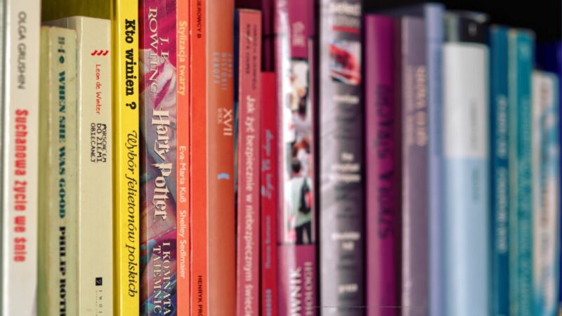 a row of book on a book shelf