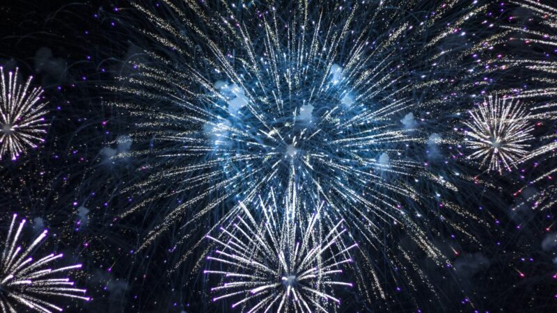 Fireworks in the night sky