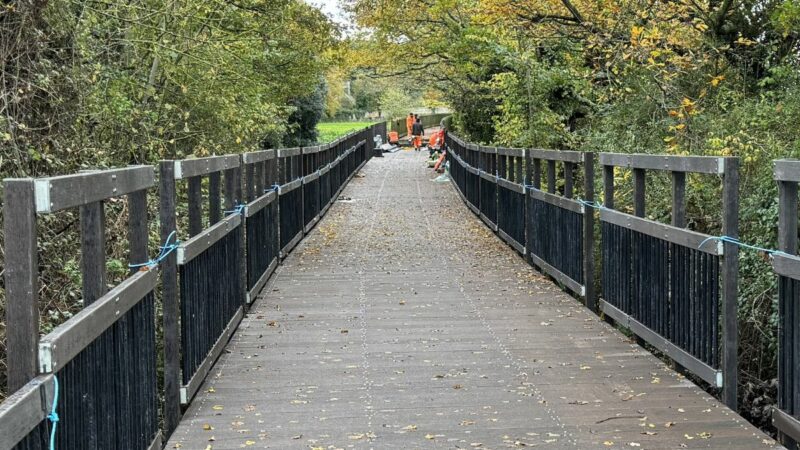 Work on Courtlands boardwalk