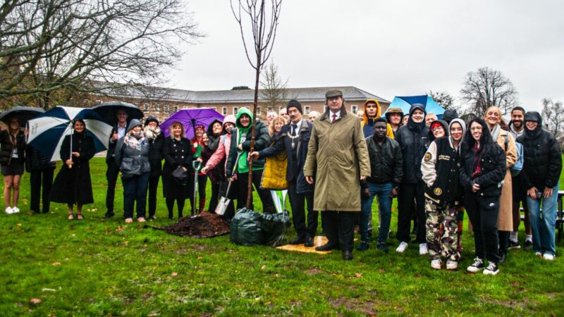 A group comprising young people, councillors and council staff, planting a tree in the grounds at County Hall