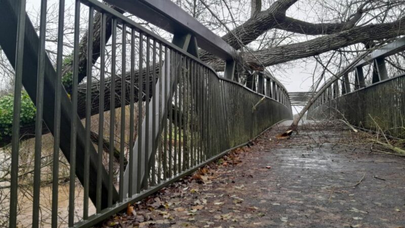Damage to Coleridge footbridge