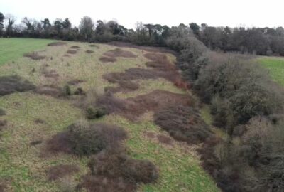 Habitat bank in Exeter