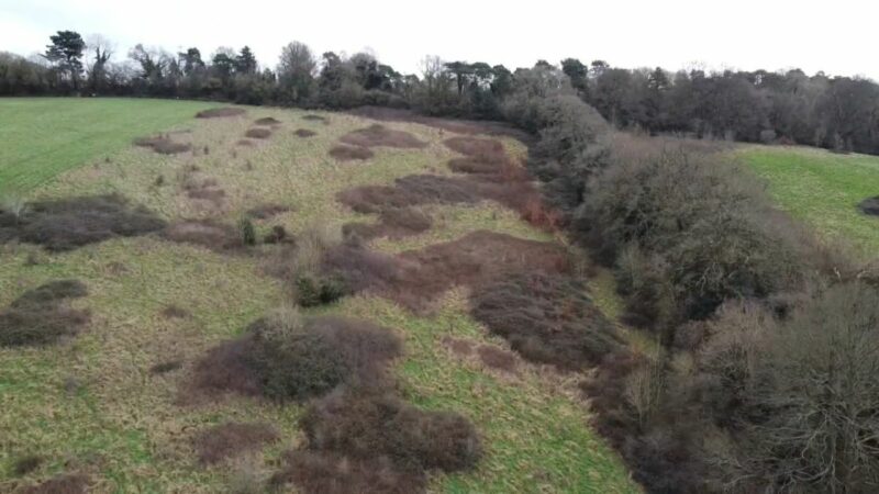 Habitat bank in Exeter