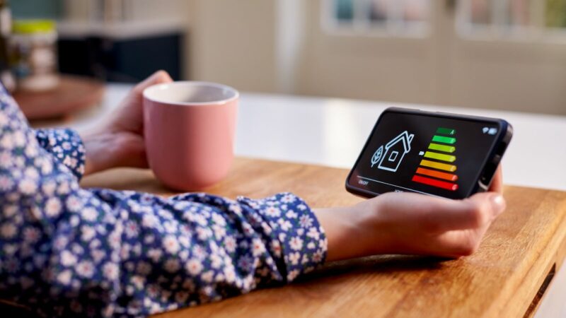 A person sat at a table looking at her smart metre reading